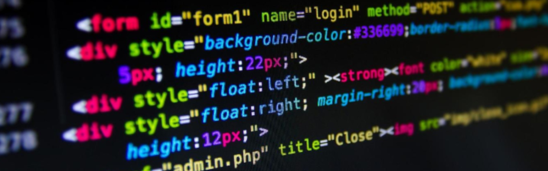 Professional Web Development Training